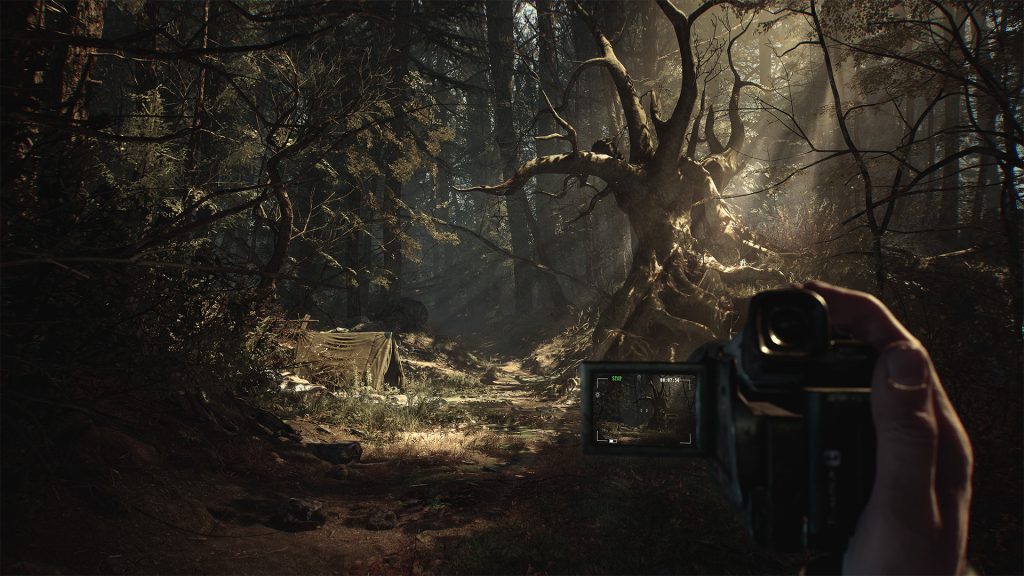 A handheld video camera pointed into a dark, overgrown forest in Blair Witch.